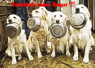 Hungry6