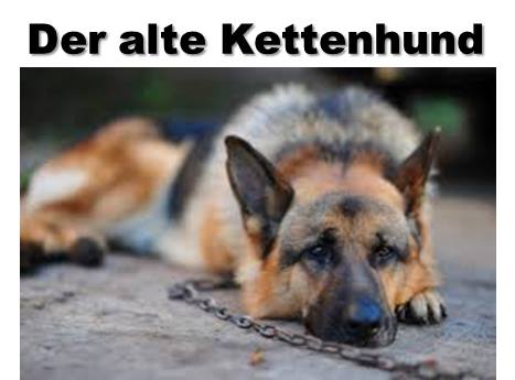 der alte Kettenhund