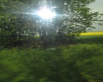 11052014 009