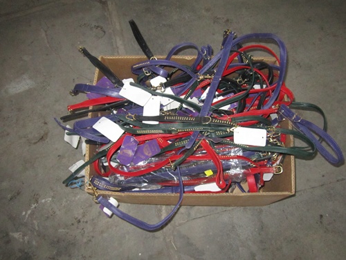 zpfile006 zpfile006