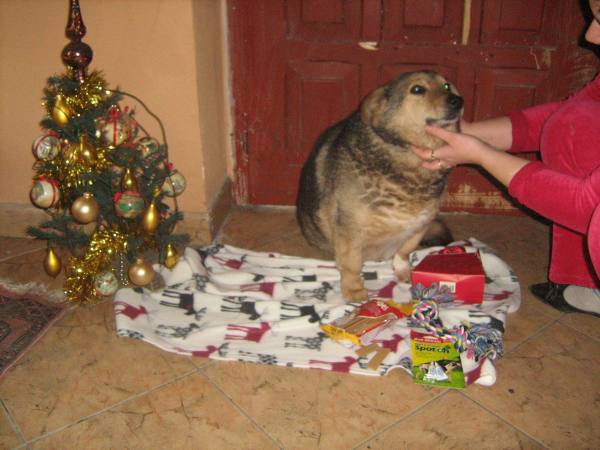 Bones11 Bones11