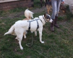 Lili N 5