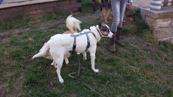 Lili N 5 Lili N 5