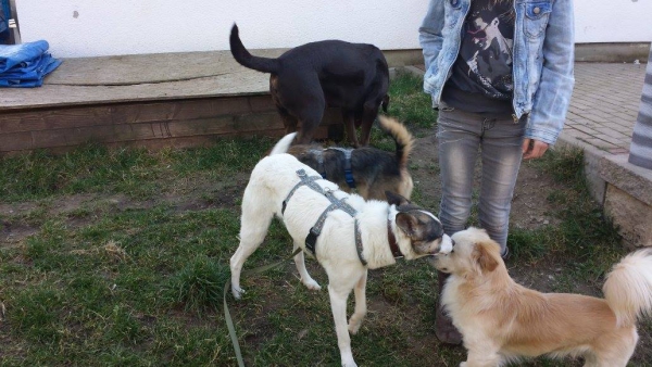 lili n 6 lili n 6