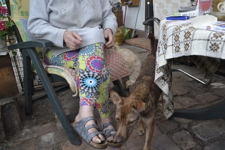 sonja14 sonja14
