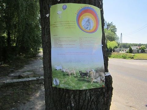 Plakat1