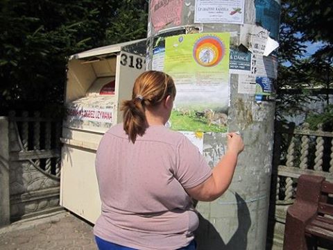 Plakat3 Plakat3