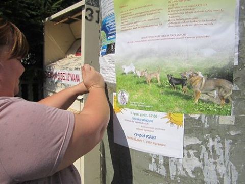 Plakat4 Plakat4