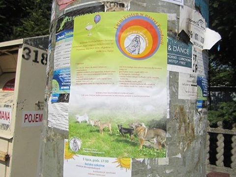 Plakat5 Plakat5