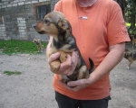 10072014 dziewczynka3