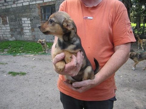 10072014 dziewczynka3 10072014 dziewczynka3