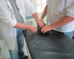 24072014 Tola1 003