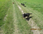 20082014 011
