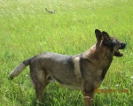 20082014 028