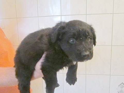 2908 nowy chlopczyk4 2908 nowy chlopczyk4
