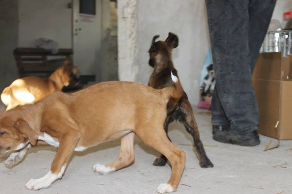 IMG 1347 IMG 1347