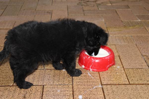 IMG 1564 IMG 1564
