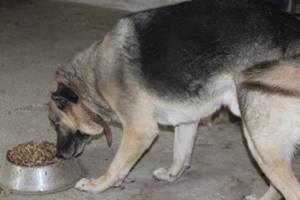 IMG 1500 IMG 1500