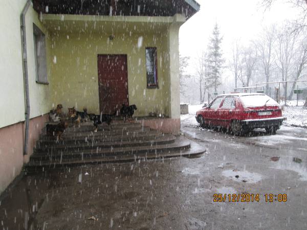25122014 016 zima 25122014 016 zima