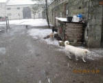 25122014 020 zima