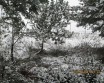 25122014 028 zima
