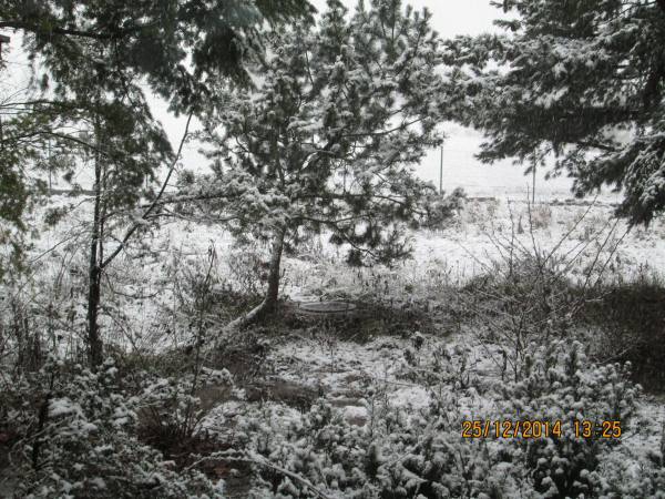 25122014 028 zima 25122014 028 zima