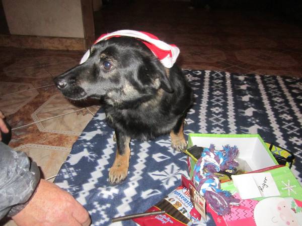 02012015 Rigor 005 02012015 Rigor 005