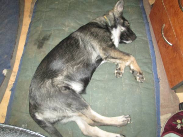 0812015 Tilli1 0812015 Tilli1
