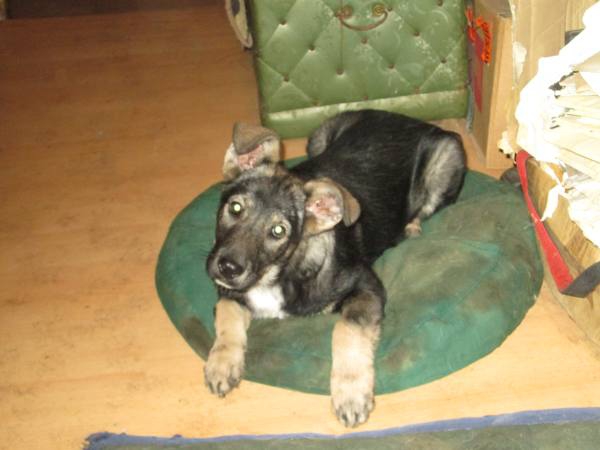 0812015 Tilli3 0812015 Tilli3