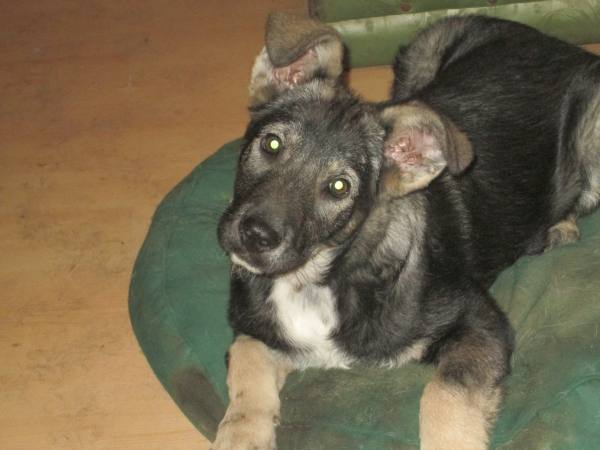 0812015 Tilli4 0812015 Tilli4