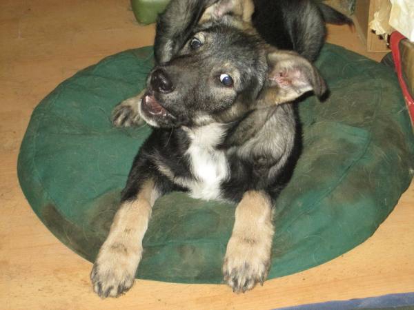 0812015 Tilli7 0812015 Tilli7