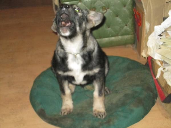 0812015 Tilli9 0812015 Tilli9