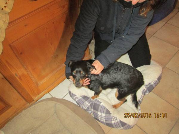 25022015 Ramona 015 25022015 Ramona 015