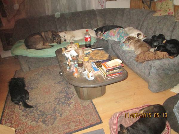 11022015 Schnapsnasen 003 11022015 Schnapsnasen 003