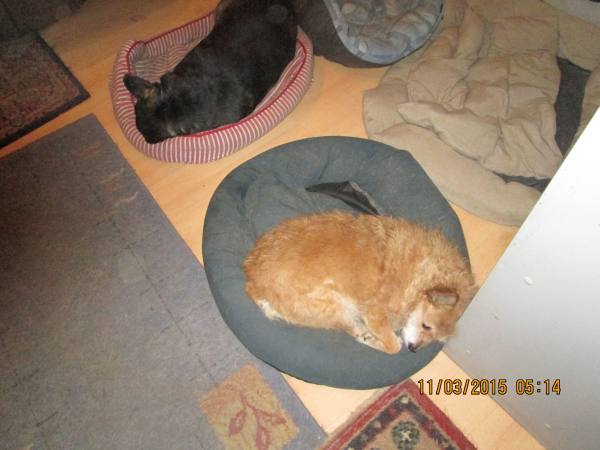 11022015 Schnapsnasen 005 11022015 Schnapsnasen 005