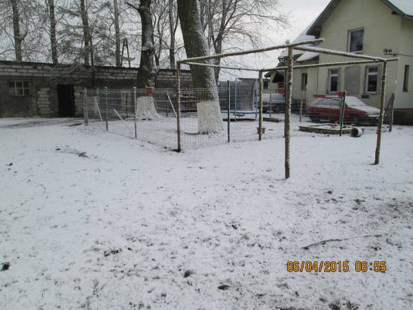 05042015 hunde 017 05042015 hunde 017