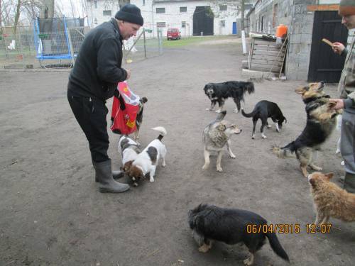 05042015 hunde1 044 05042015 hunde1 044
