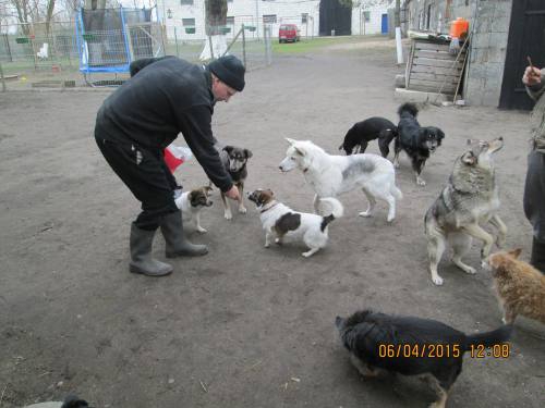 05042015 hunde1 045 05042015 hunde1 045