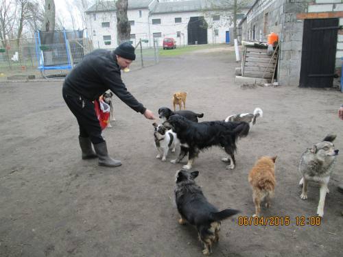 05042015 hunde1 048 05042015 hunde1 048