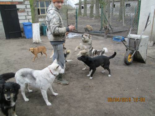 05042015 hunde1 049 05042015 hunde1 049