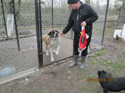 05042015 hunde1 051 05042015 hunde1 051