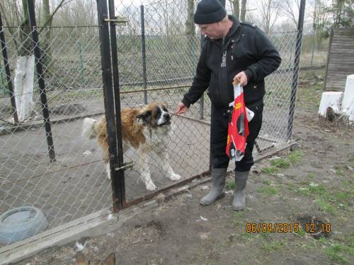 05042015 hunde1 052 05042015 hunde1 052