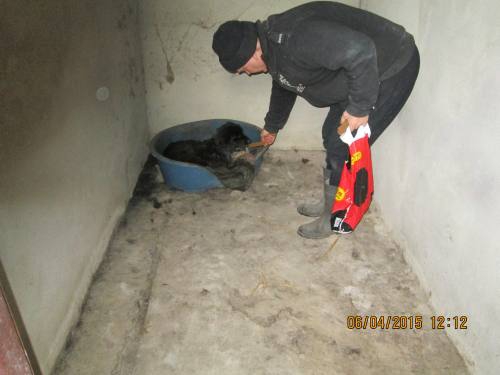 05042015 hunde1 055 05042015 hunde1 055