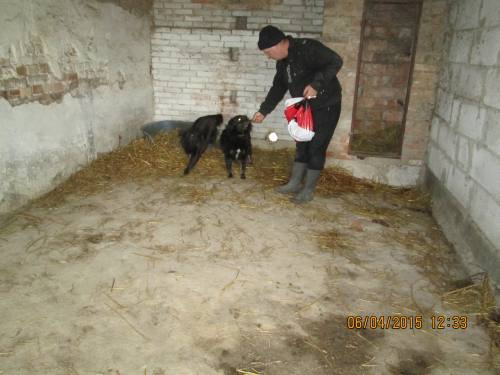 05042015 hunde1 109 05042015 hunde1 109