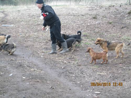 05042015 hunde1 136 05042015 hunde1 136