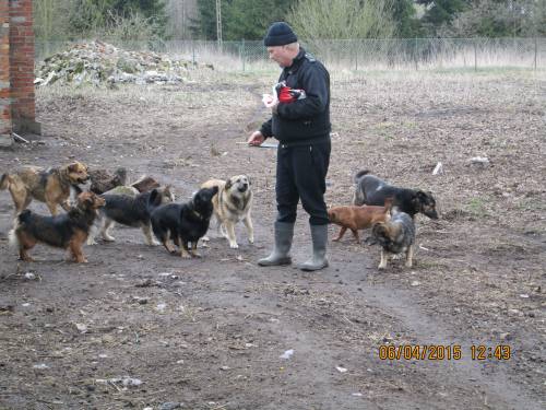 05042015 hunde1 137 05042015 hunde1 137