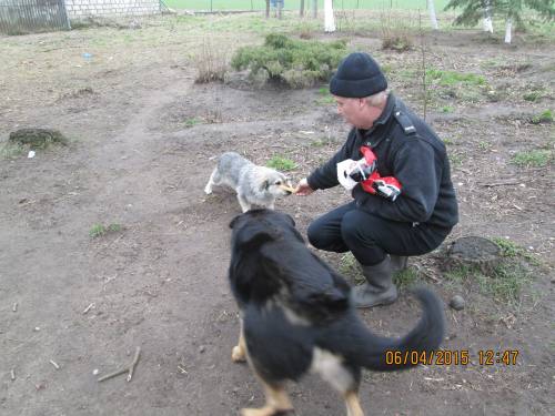 05042015 hunde1 148 05042015 hunde1 148