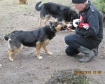 05042015 hunde1 149 05042015 hunde1 149