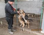 05042015 hunde1 154 05042015 hunde1 154