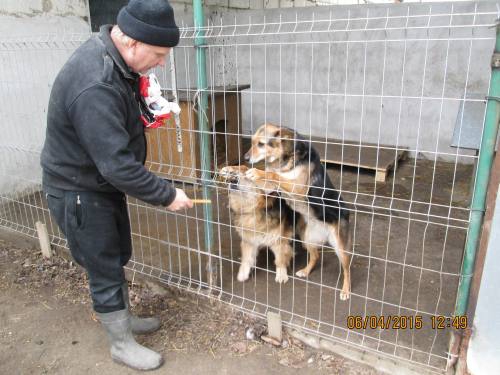 05042015 hunde1 155 05042015 hunde1 155